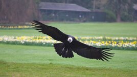 IMG_4580.jpg