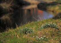 compIMG_3381.jpg