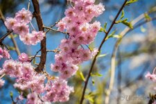 IMG_0929.jpg