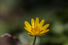 IMG_2156.jpg