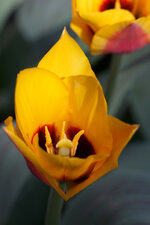IMG_2211.jpg