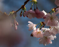 IMG_4973a_DSLR.jpg