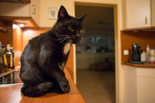 DSC_7707.jpg