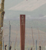 Schild mittiger Kreuzsensor-9505.jpg