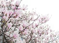 made in China ;-).jpg