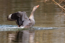 20140330-IMG_6818-b-2.jpg