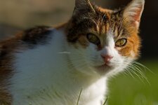 IMG_1589.jpg