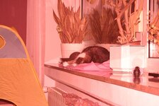 IMG_6160.JPG