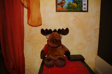 1838_K5_MZ3i.JPG