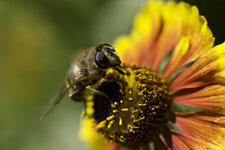 20120812-IMG_5466.jpg