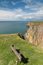 Mull of Galloway-7508.jpg