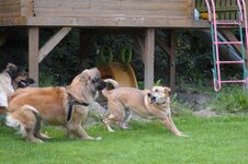 DSC_1206.jpg