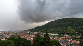 HD im Regen.jpg