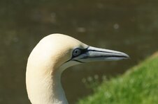 DSC06113.JPG