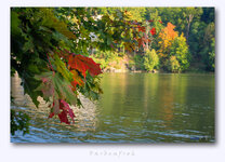 donau_2012-09-23_024.jpg