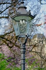 DSCF0028.jpg