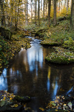 Sauerland -283.jpg