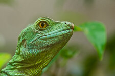 20111101-DSC00899.jpg