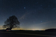 IMG_7826_s.jpg IMG_7826_s.jpg