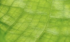 _DSC4510.43.jpg