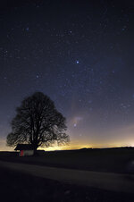 ropperts_s2_2.jpg ropperts_s2_2.jpg