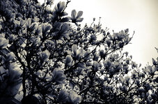 11. März 2014 - dslr forum - 00072.jpg