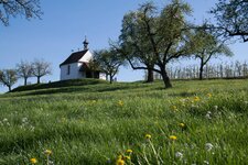 2014-04-09 SAM00938.jpg