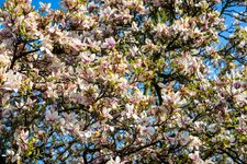 DSC00560-5.jpg