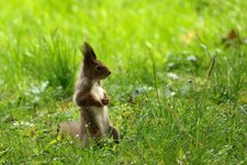 comp_DSC_0118.jpg