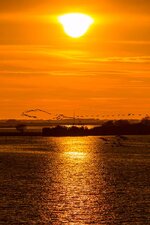 IMG_0087.jpg