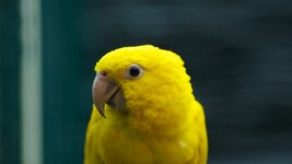 IMG_4586.jpg