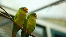 IMG_4587.jpg