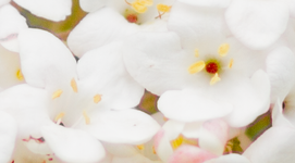 crop857d.PNG