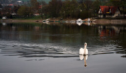 P1010154.JPG
