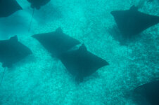 20140417_1220_florida-3.jpg