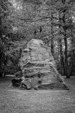 15. April 2014 - Stadtwald Sterkrade - 00207-3.jpg