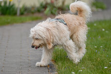 DSC_0013-2.jpg