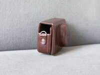 Spring_Cleaning-1020206.jpg