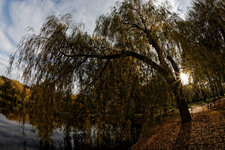 Laaer Park.jpg