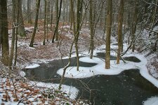 comp_DSC_0145.jpg