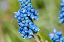 DSC_6981-2-2.jpg