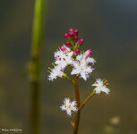IMG_7478.jpg