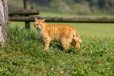 IMG_6997.jpg