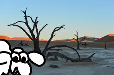 DeathValleySchaaf.jpg