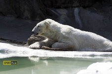 20140419_SWA8197.jpg