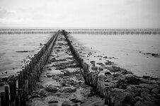 sylt_var1_klein.jpg