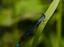 DSC_0030.jpg