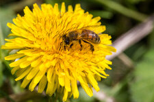 2014_04_17_3433-2.jpg