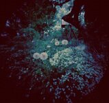 polaroid pinhole 001.jpg