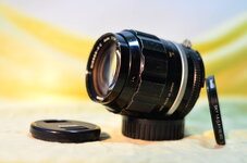 ARA_6534 (FILEminimizer).JPG